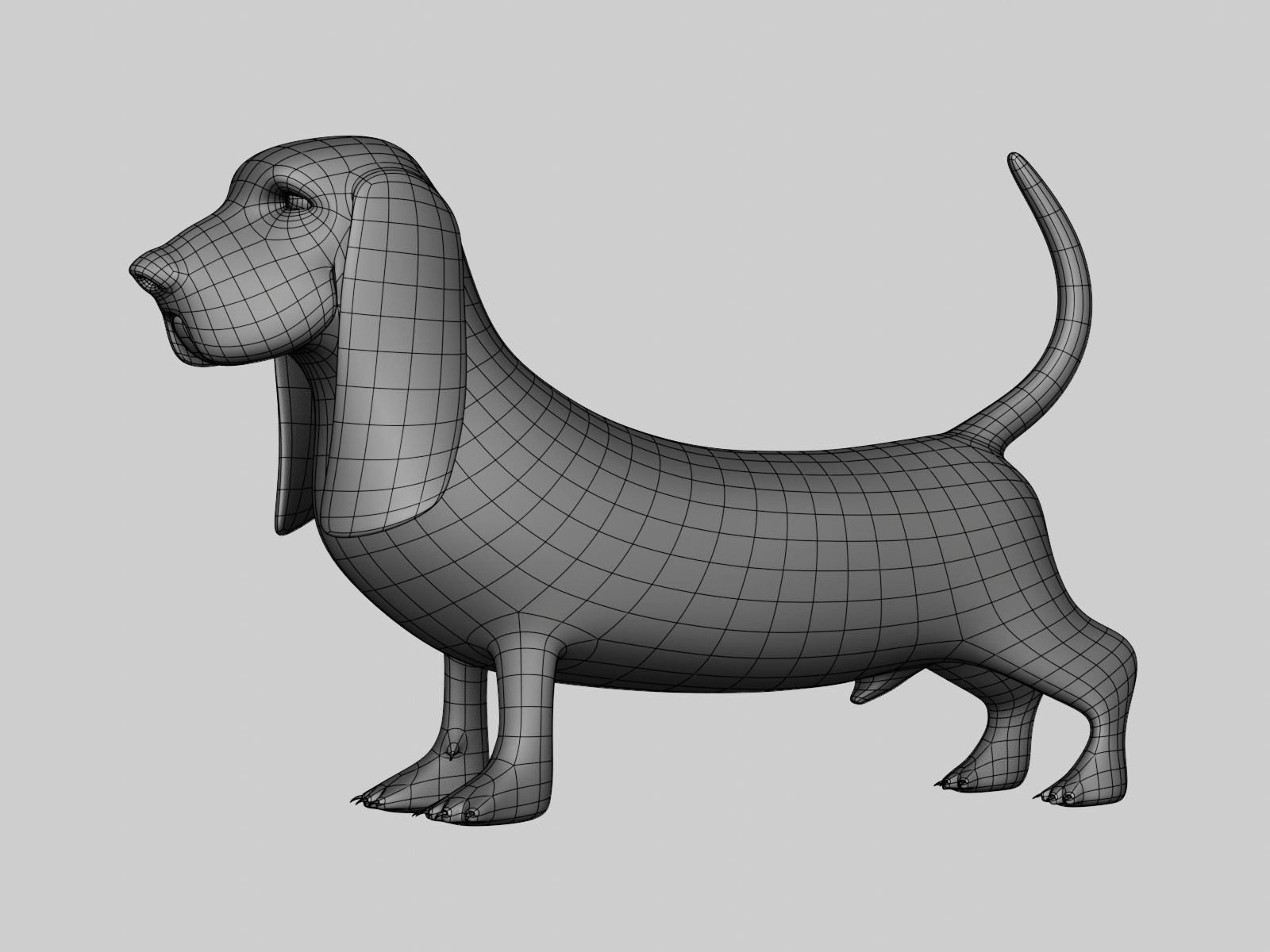 Basset Hound Basemesh for Sculpt Ready Low-poly 3D model_4