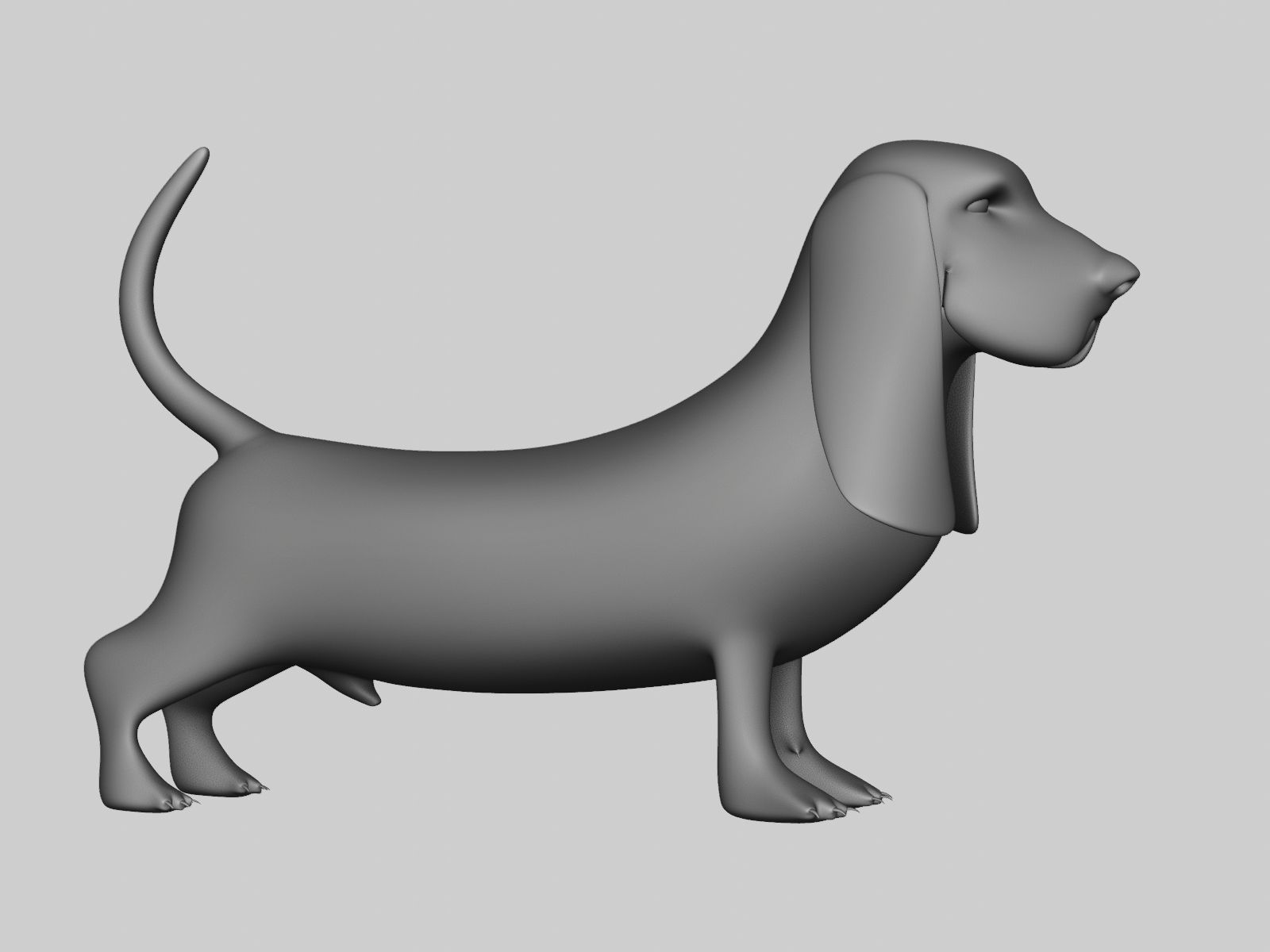 Basset Hound Basemesh for Sculpt Ready Low-poly 3D model_25