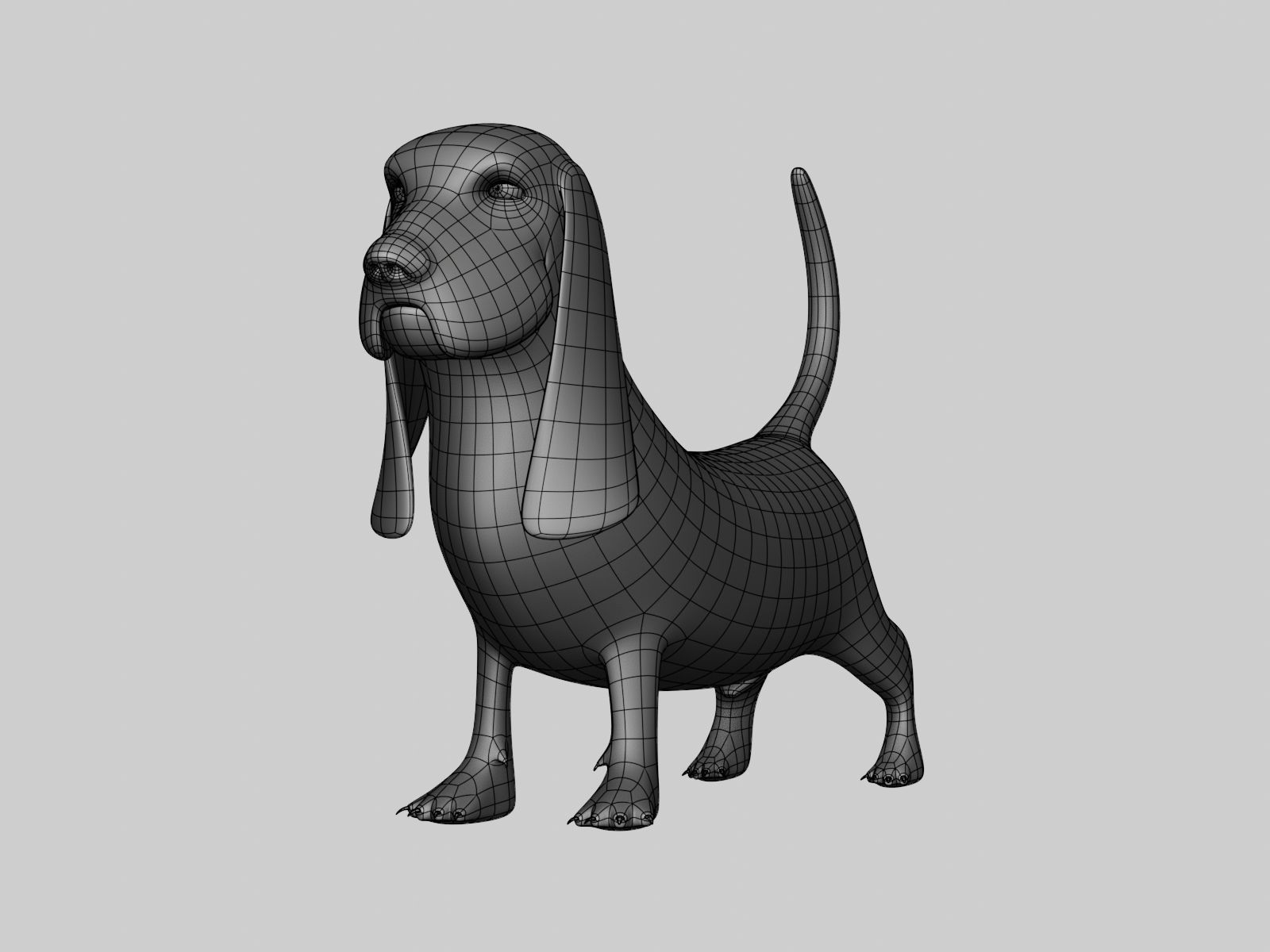 Basset Hound Basemesh for Sculpt Ready Low-poly 3D model_36
