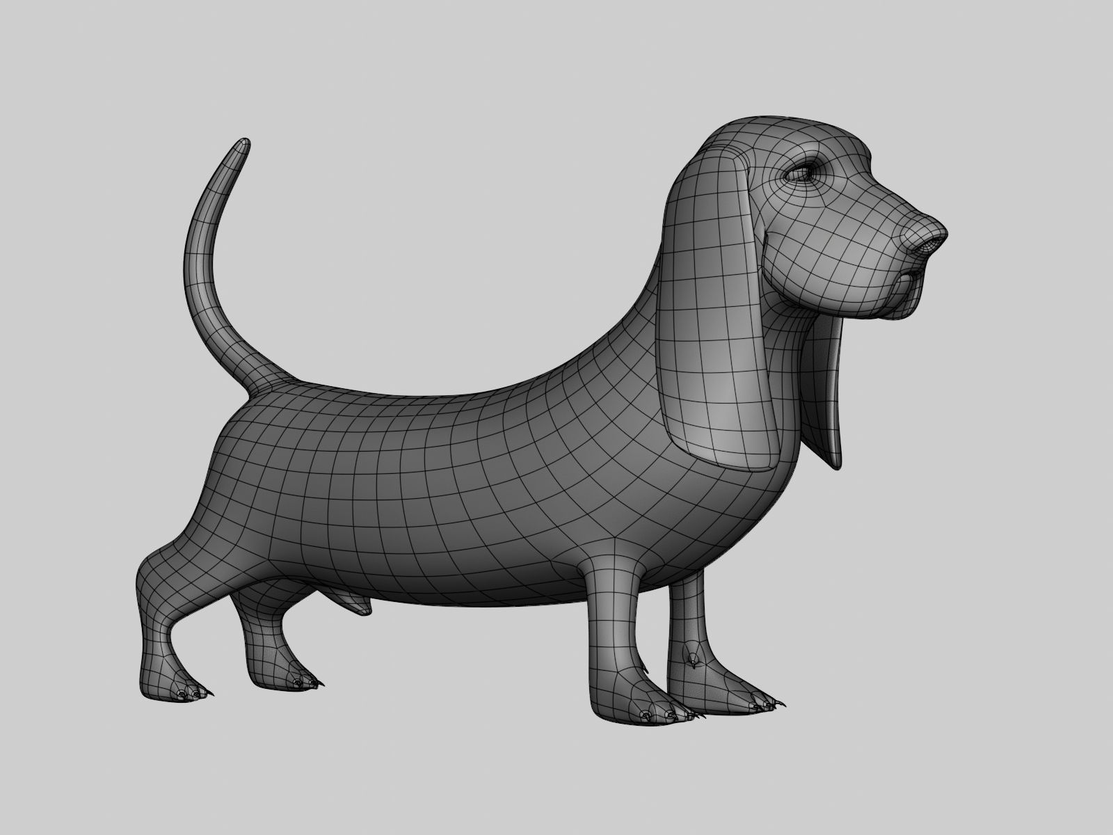 Basset Hound Basemesh for Sculpt Ready Low-poly 3D model_28