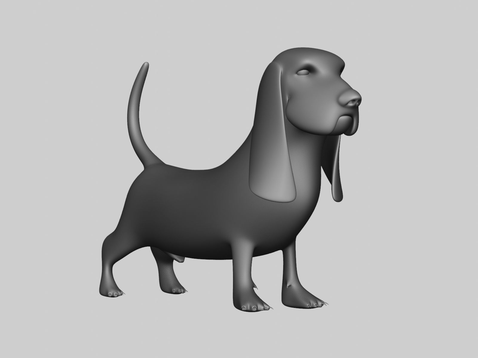 Basset Hound Basemesh for Sculpt Ready Low-poly 3D model_29