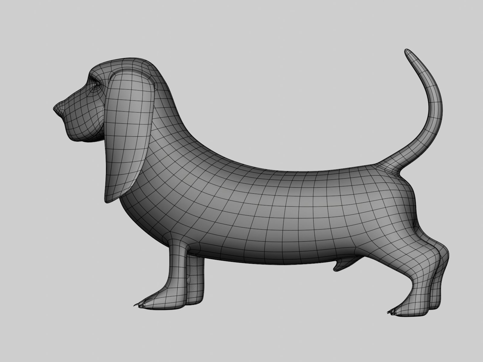 Basset Hound Basemesh for Sculpt Ready Low-poly 3D model_8