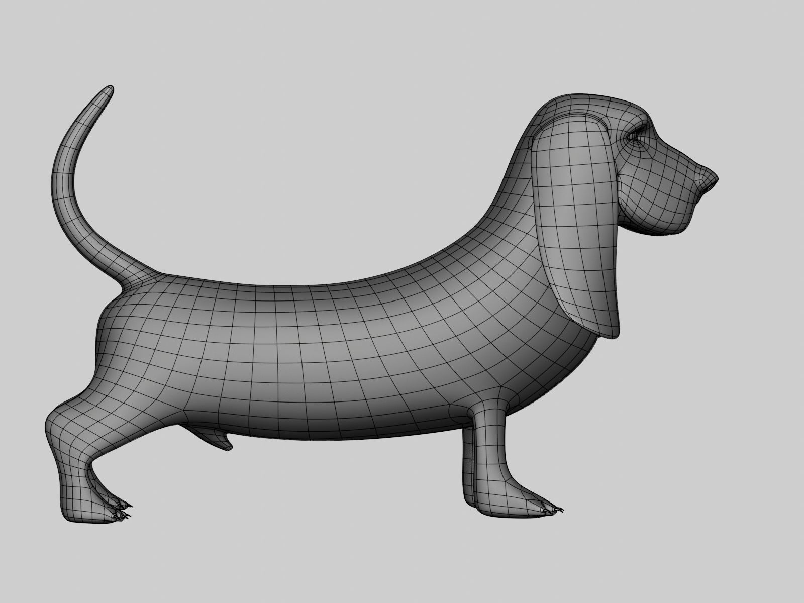 Basset Hound Basemesh for Sculpt Ready Low-poly 3D model_24