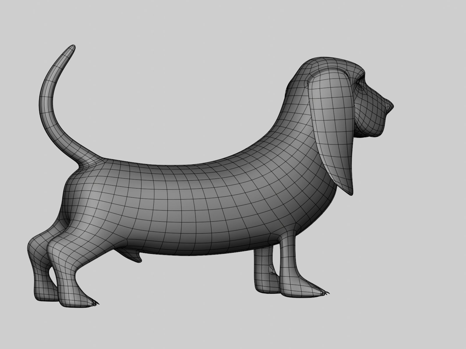 Basset Hound Basemesh for Sculpt Ready Low-poly 3D model_22