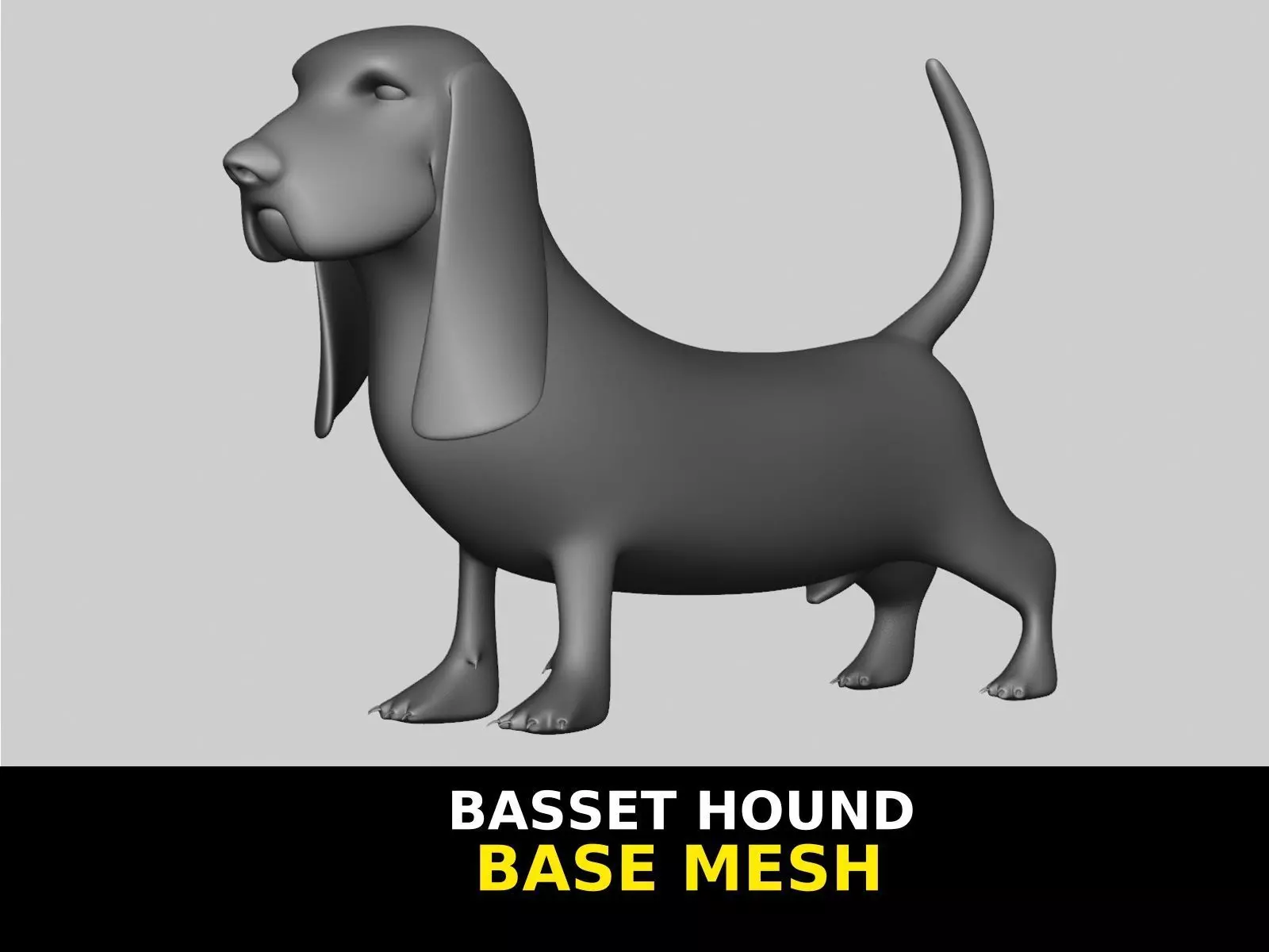 Basset Hound Basemesh for Sculpt Ready Low-poly 3D model_0