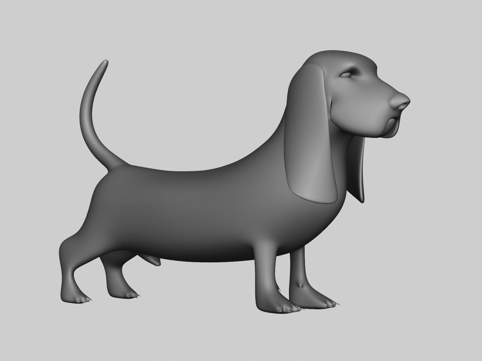 Basset Hound Basemesh for Sculpt Ready Low-poly 3D model_27