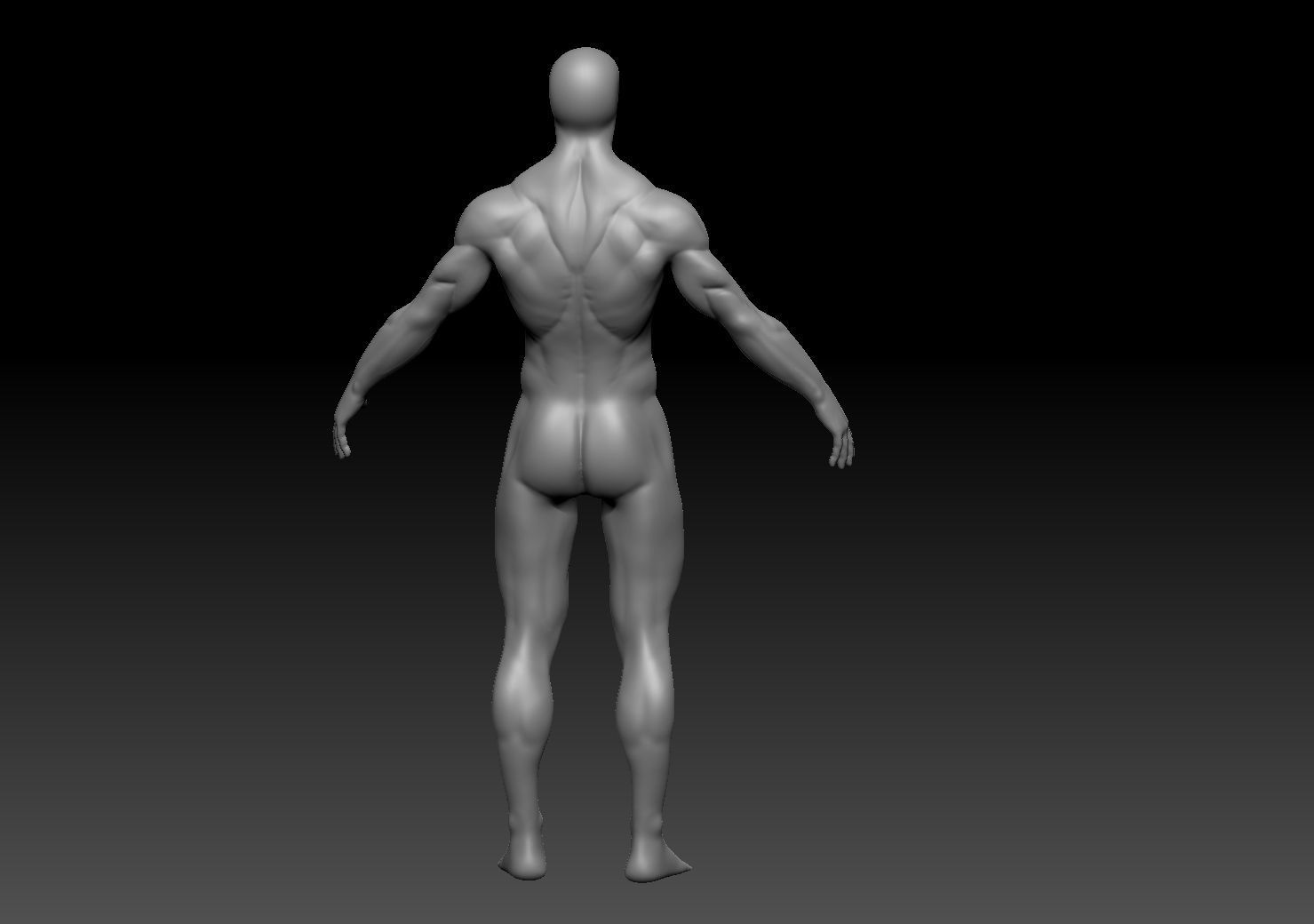 fit male base mesh 3D model_3