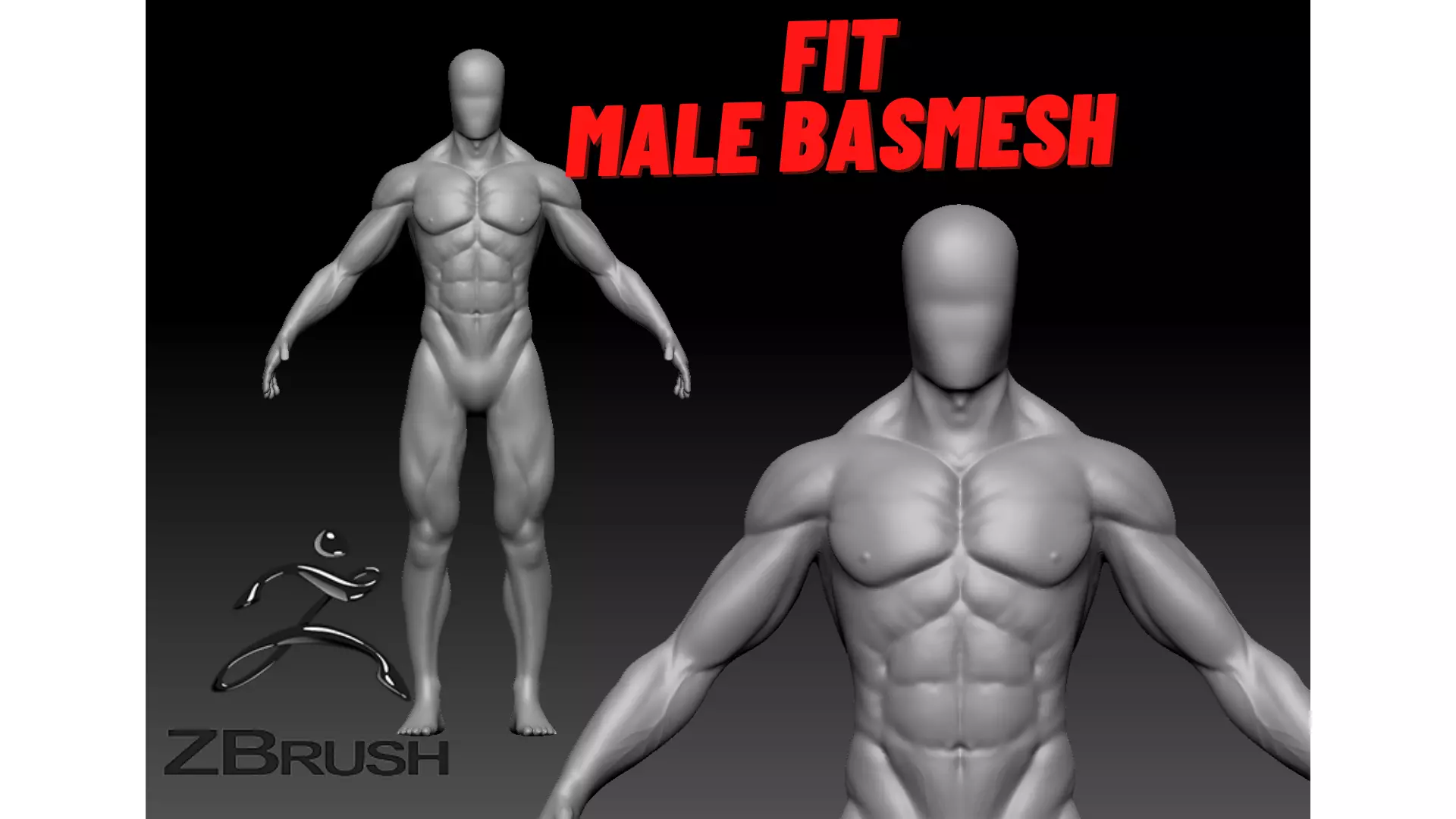 fit male base mesh 3D model_0