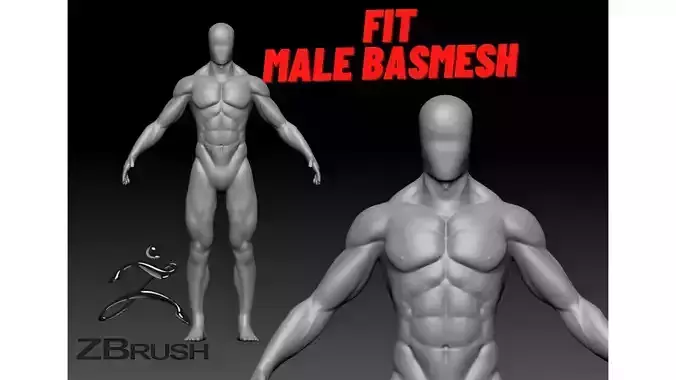 fit male base mesh