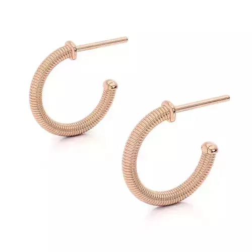 Earrings spring studs printable 3d model