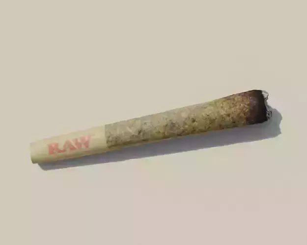 Photoscanned Burnt Pre-Roll Cannabis Joint 3D model
