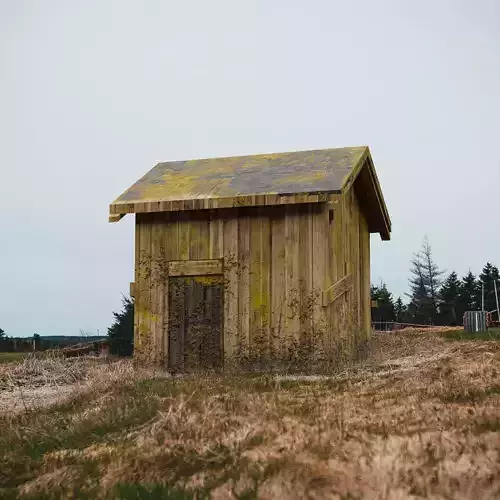 Shack old wooden