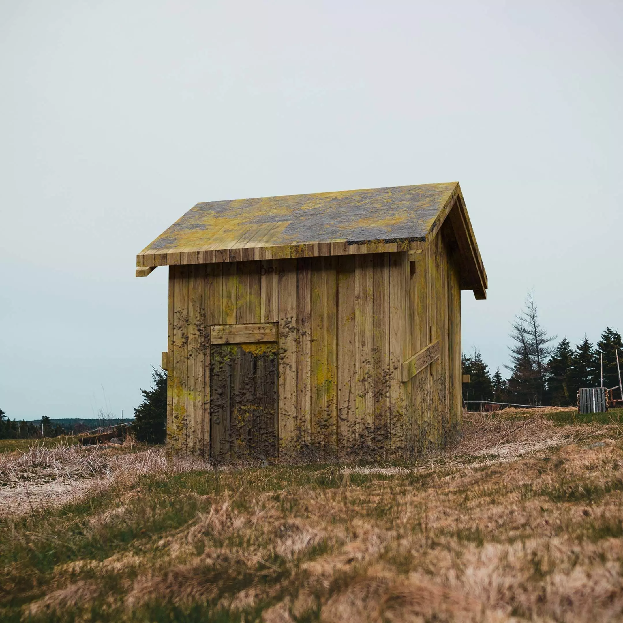 Shack old wooden Low-poly 3D model_0
