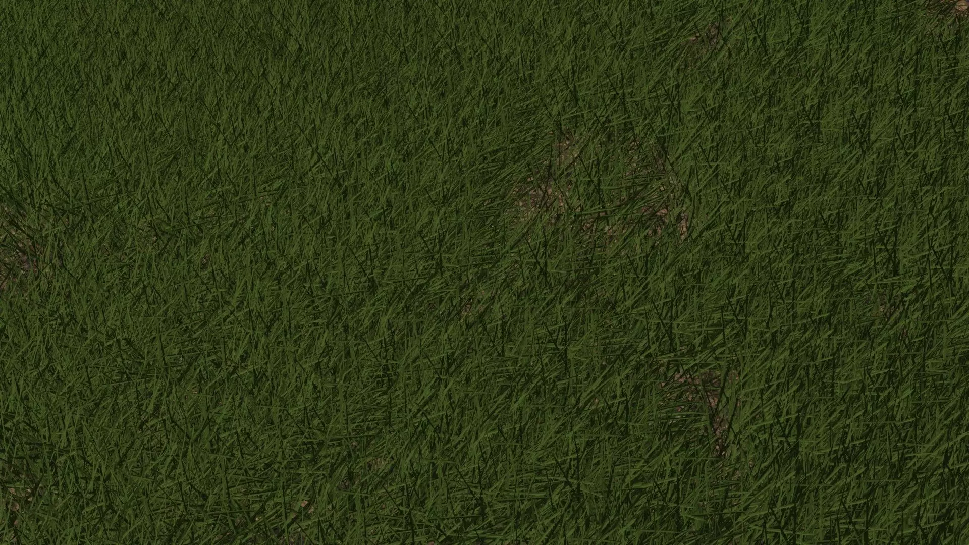 Semi-Realistic Grassy field Not Animated Free 3D model_0