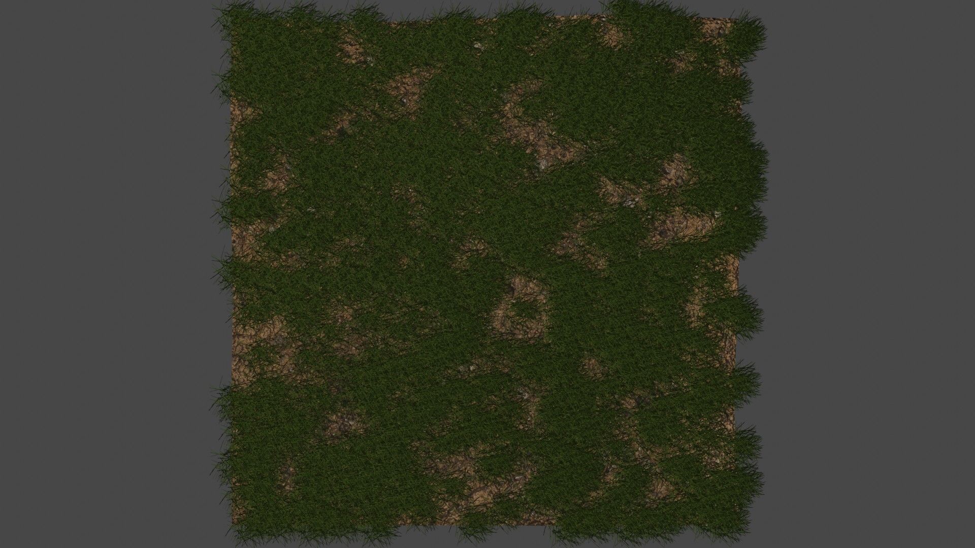 Semi-Realistic Grassy field Not Animated Free 3D model_4