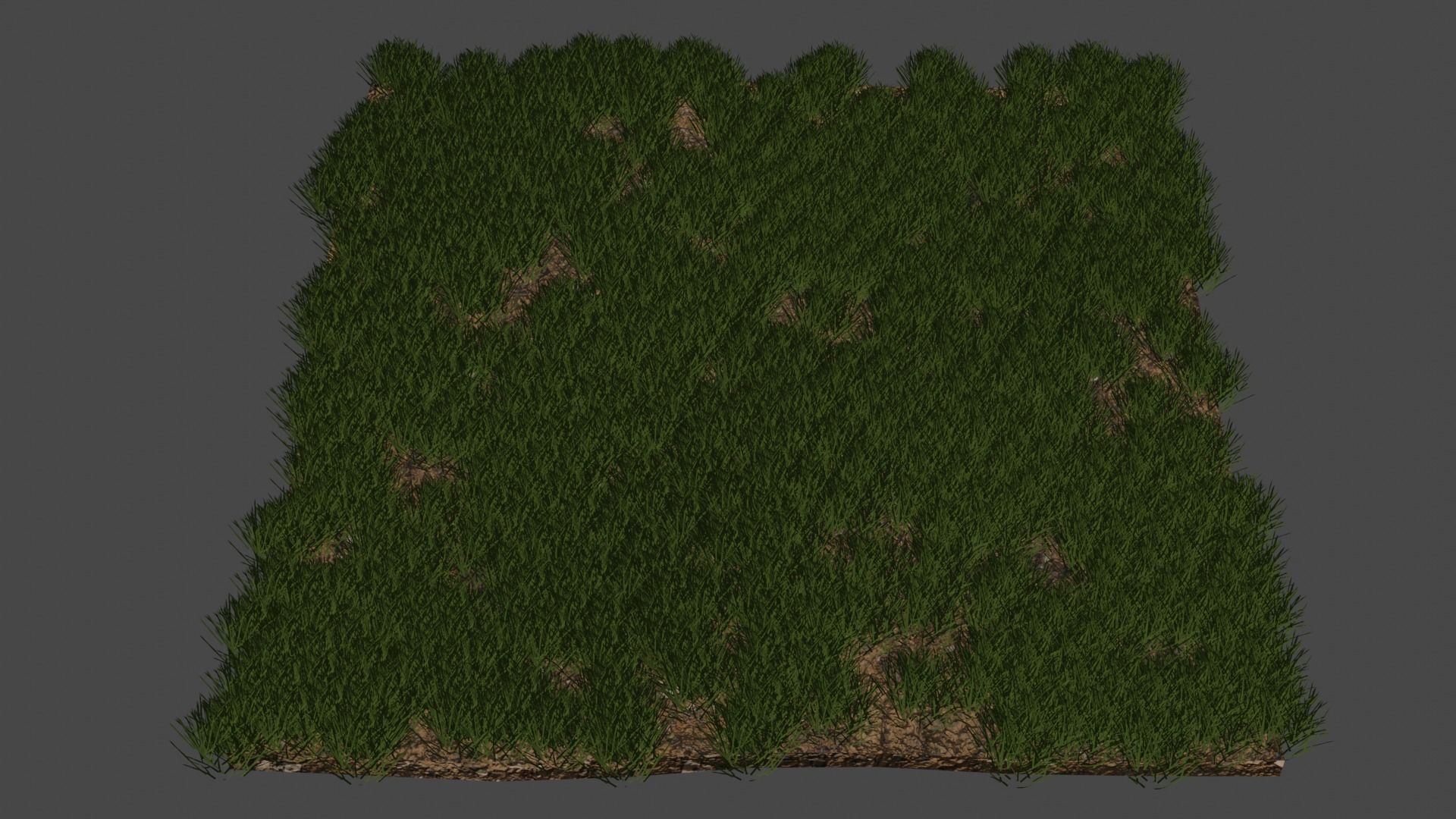 Semi-Realistic Grassy field Not Animated Free 3D model_3