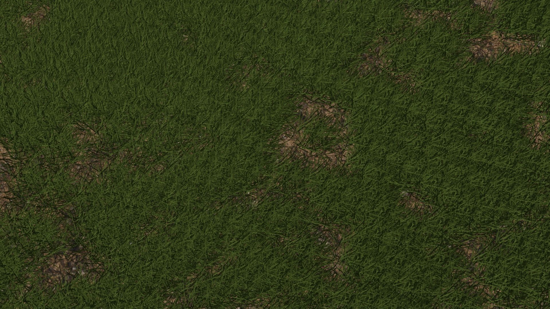 Semi-Realistic Grassy field Not Animated Free 3D model_1