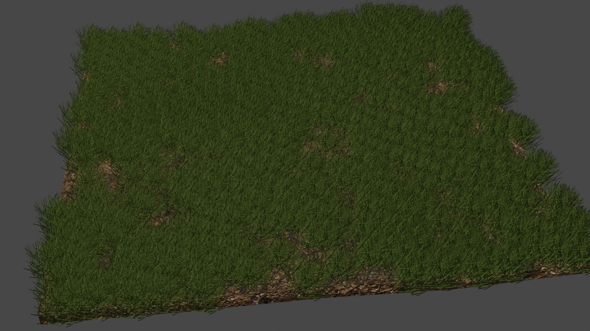 Semi-Realistic Grassy field Not Animated Free 3D model_2