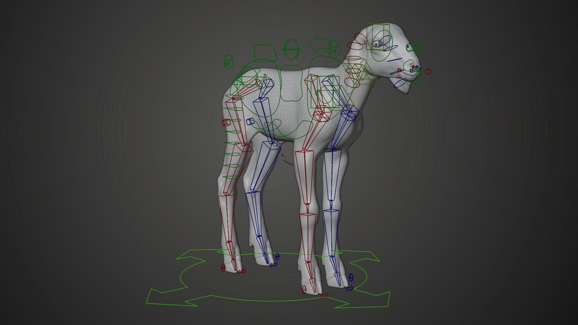 Baby Assaf Sheep Animated VFX Grace 3D model_13