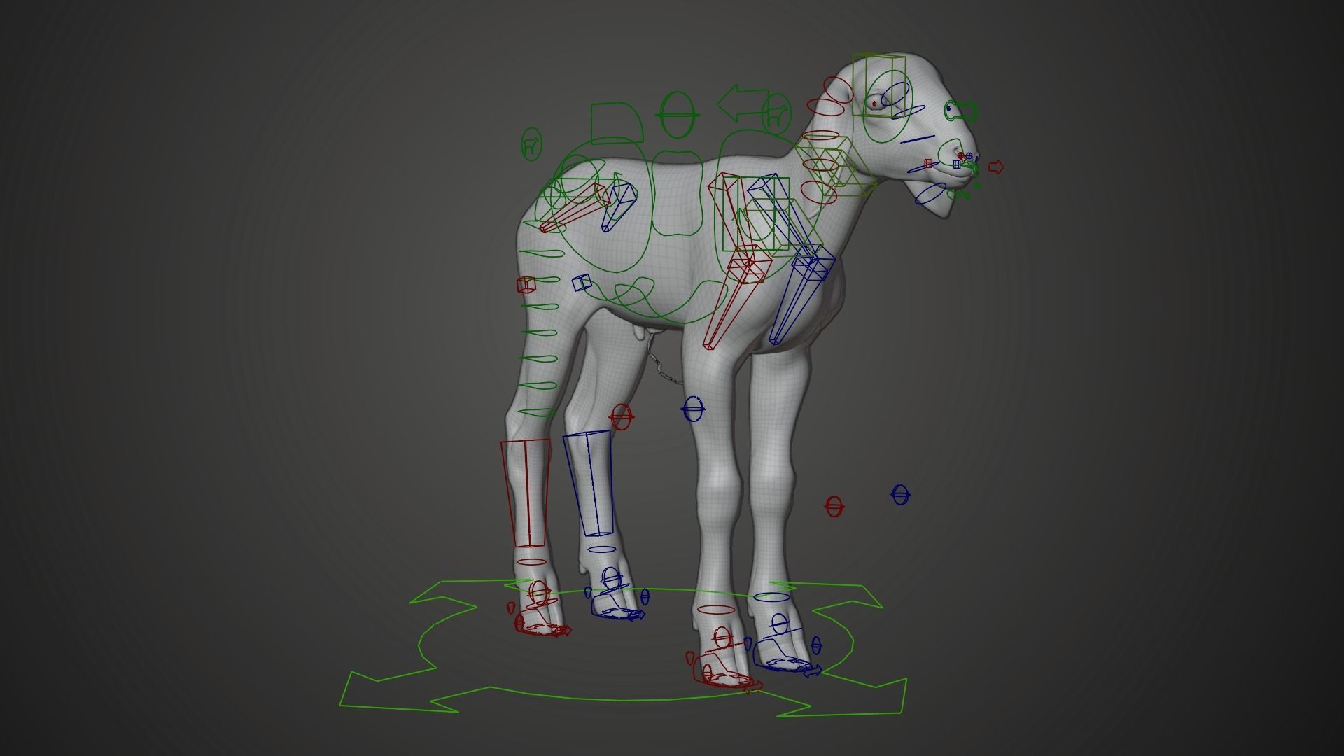 Baby Assaf Sheep Animated VFX Grace 3D model_11