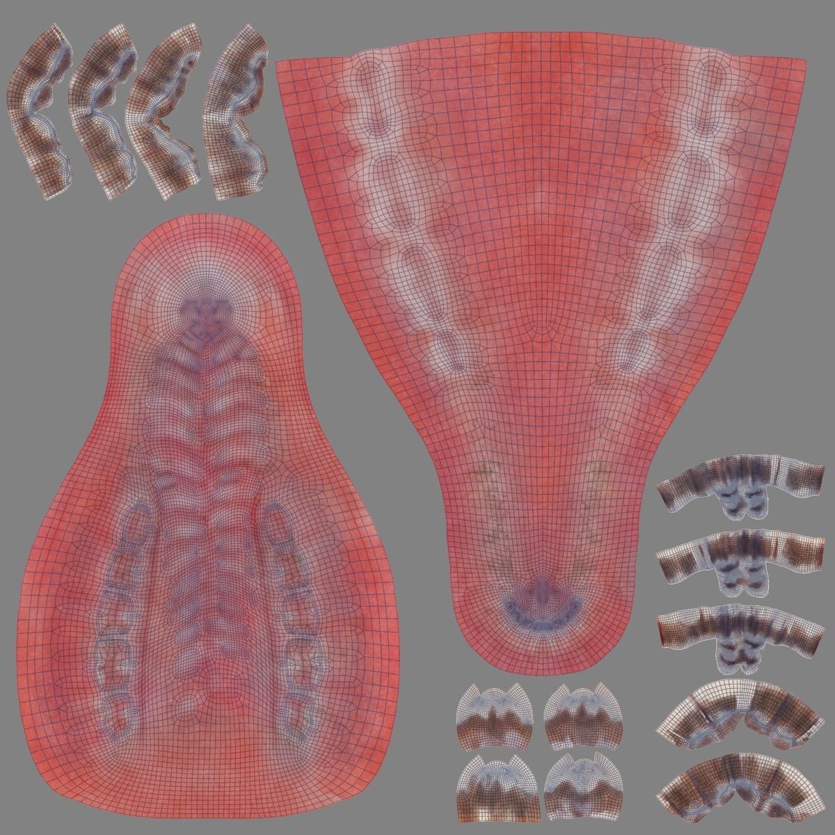 Baby Assaf Sheep Animated VFX Grace 3D model_24