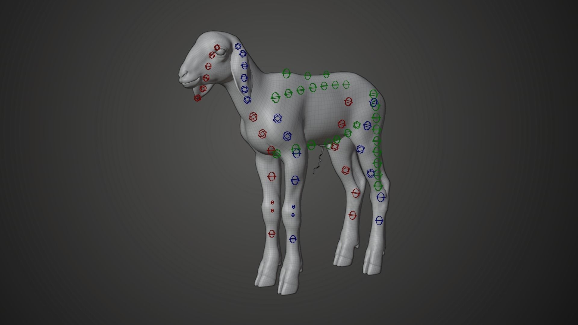 Baby Assaf Sheep Animated VFX Grace 3D model_17