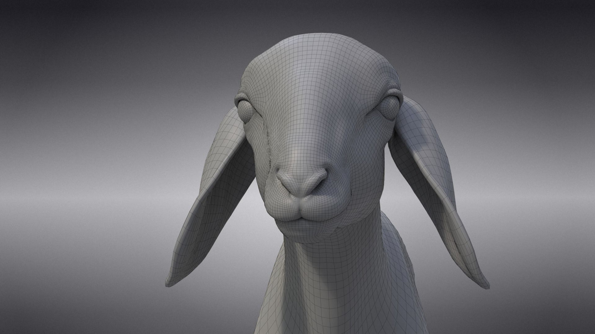 Baby Assaf Sheep Animated VFX Grace 3D model_30