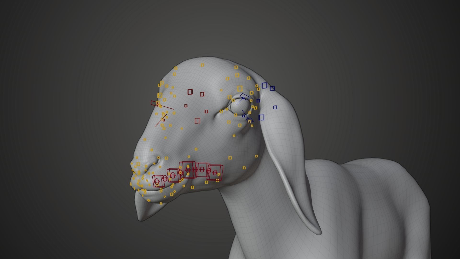 Baby Assaf Sheep Animated VFX Grace 3D model_20