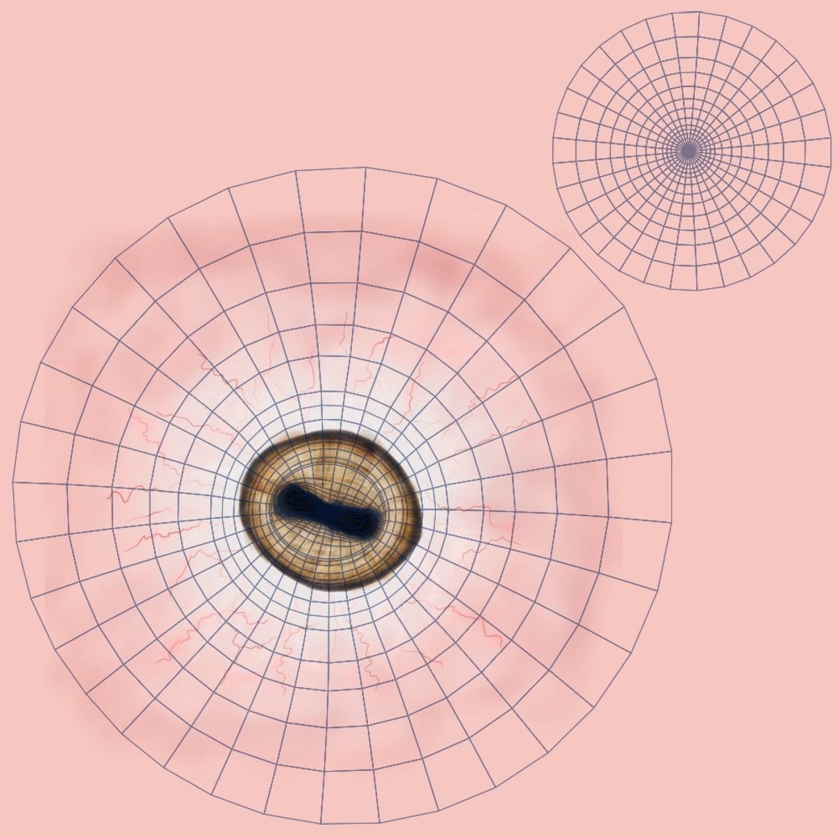 Baby Assaf Sheep Rigged VFX Grace  3D model_23