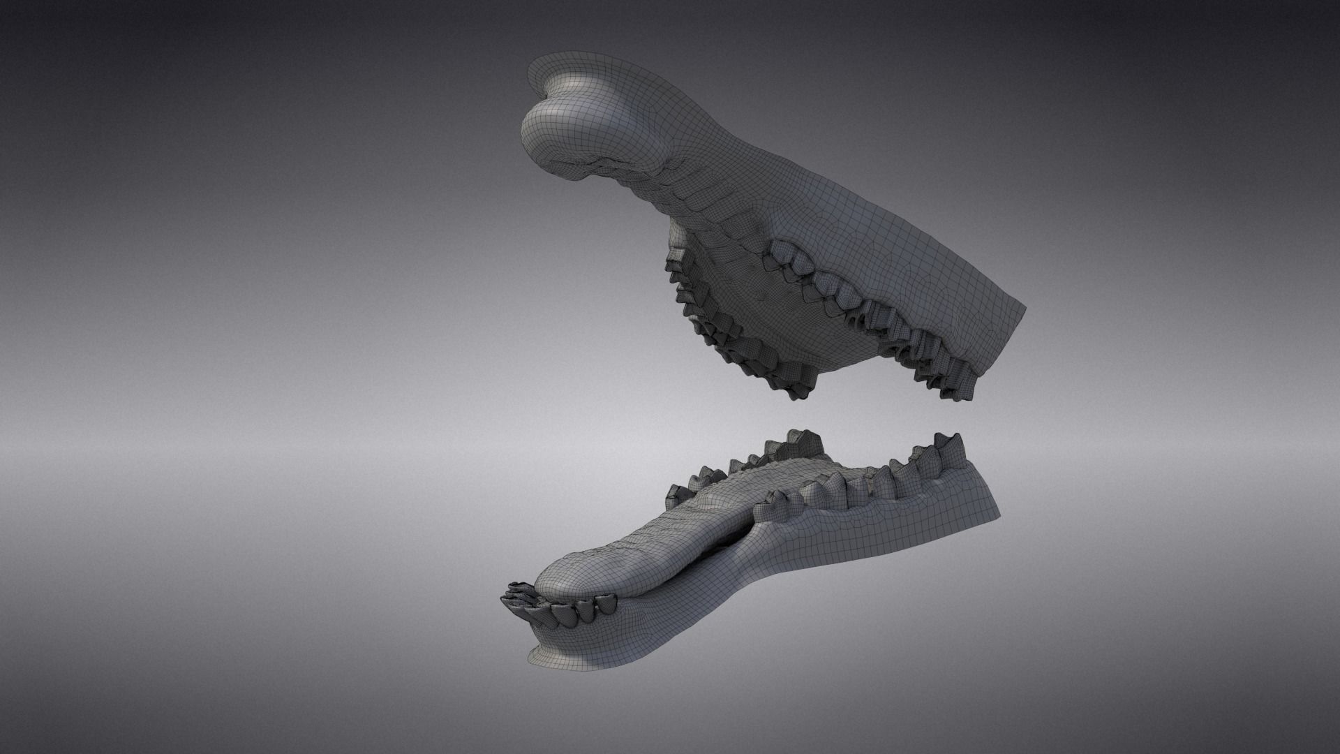 Baby Assaf Sheep Rigged VFX Grace  3D model_28