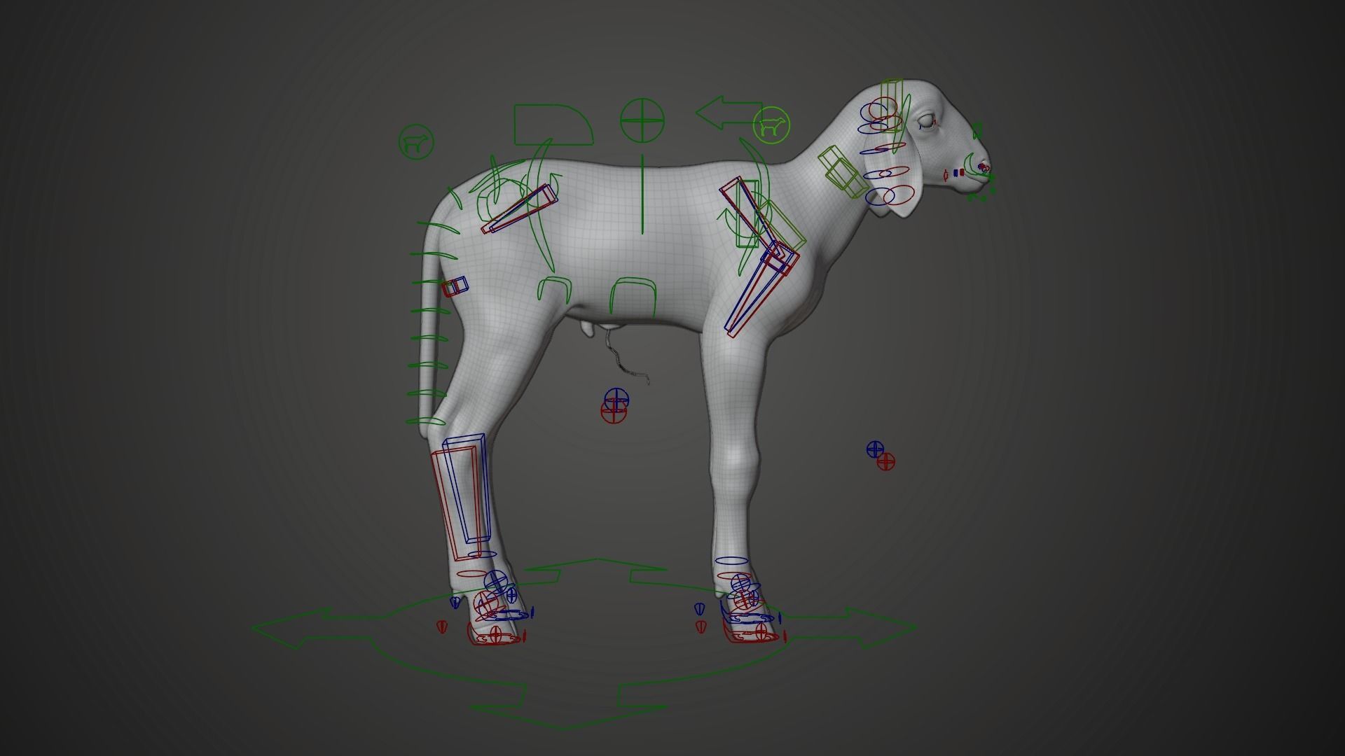 Baby Assaf Sheep Rigged VFX Grace  3D model_11