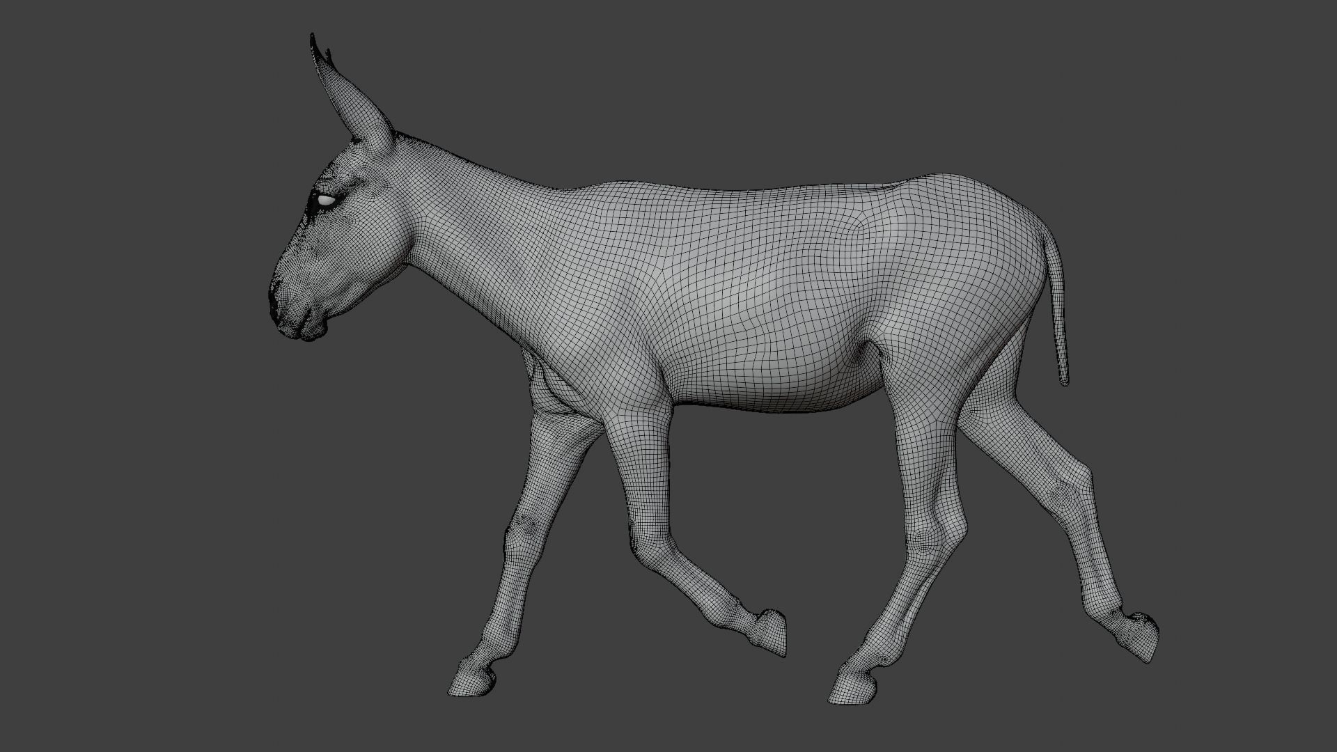 Israel white donkey Animated VFX Grace 3D model_18