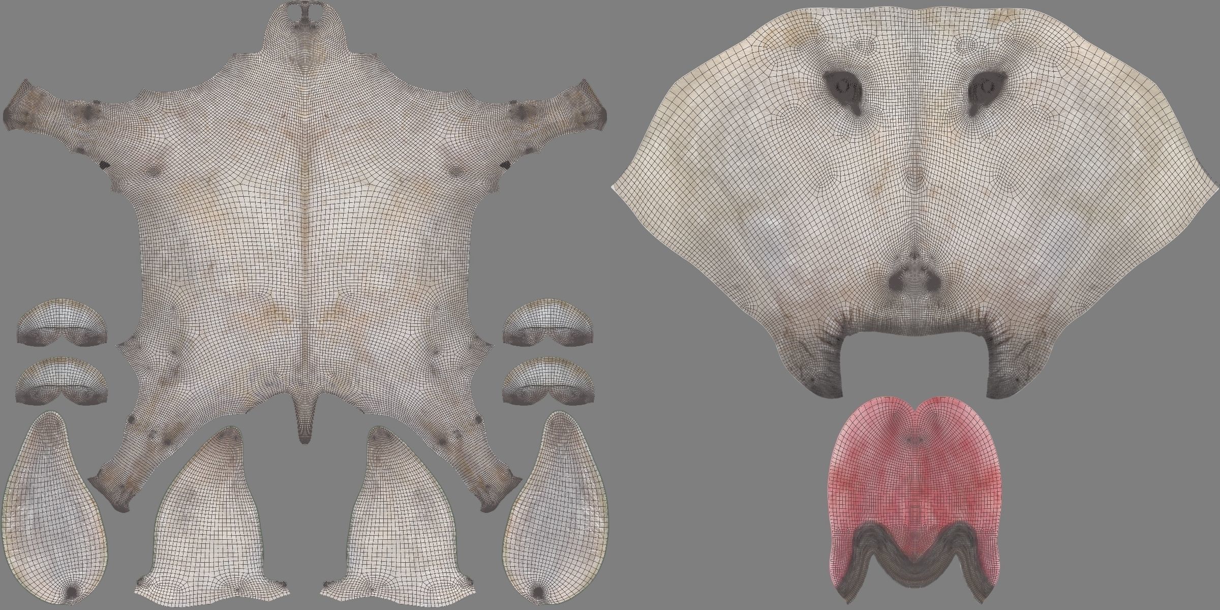 Israel white donkey Animated VFX Grace 3D model_15