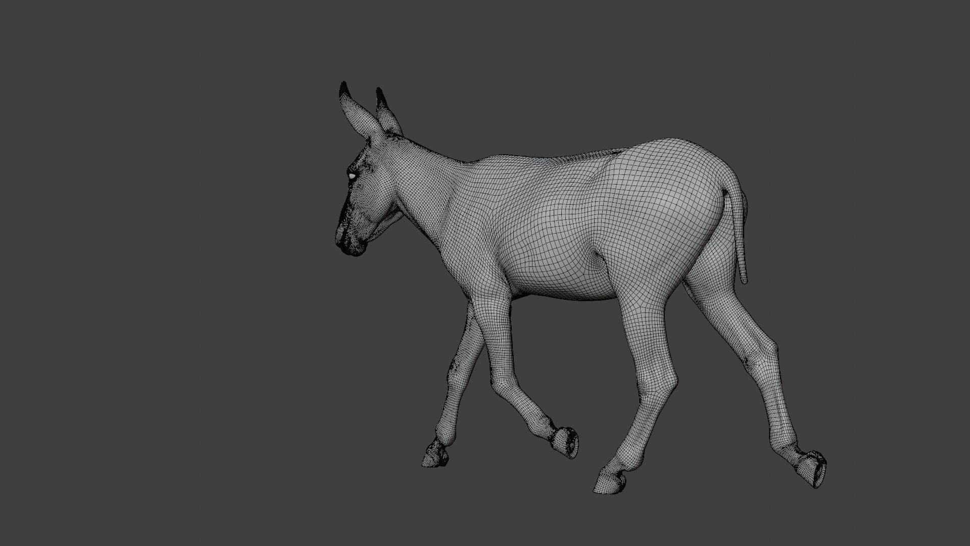 Israel white donkey Animated VFX Grace 3D model_20
