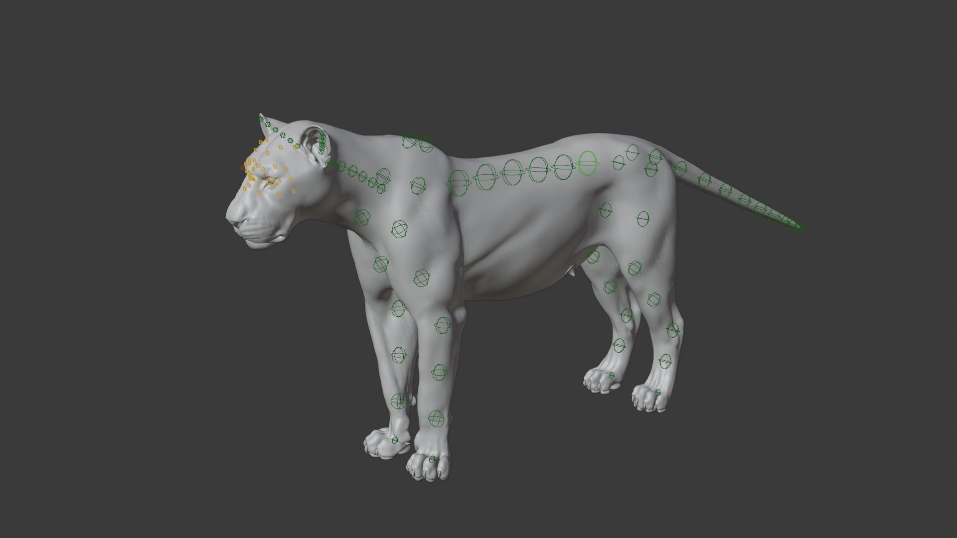 Female Lion Animated VFX Grace   3D model_23