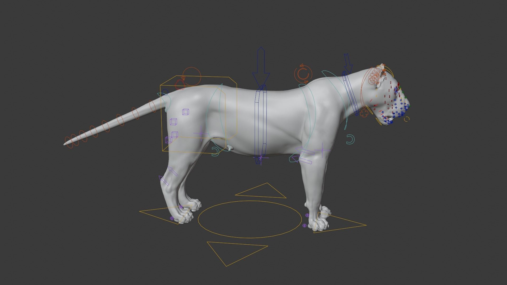 Female Lion Animated VFX Grace   3D model_18