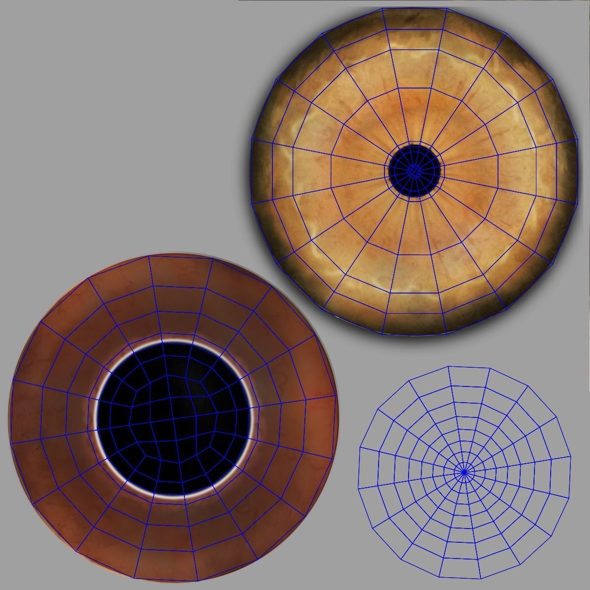 Female Lion Animated VFX Grace   3D model_30