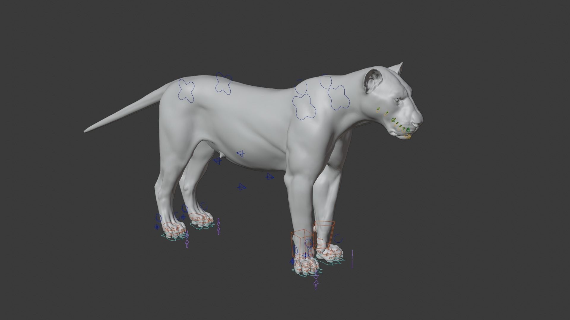 Female Lion Animated VFX Grace   3D model_21