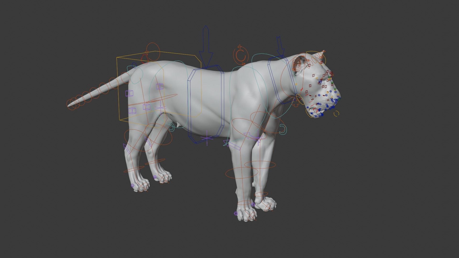 Female Lion Animated VFX Grace   3D model_19