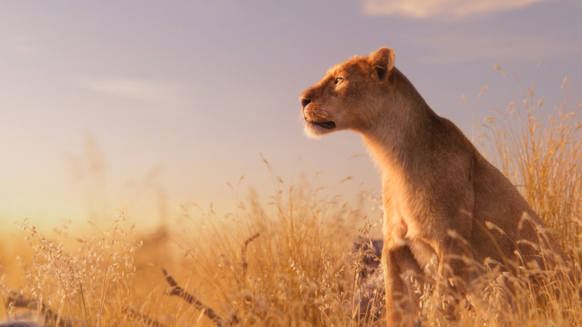 Female Lion Animated VFX Grace   3D model_7