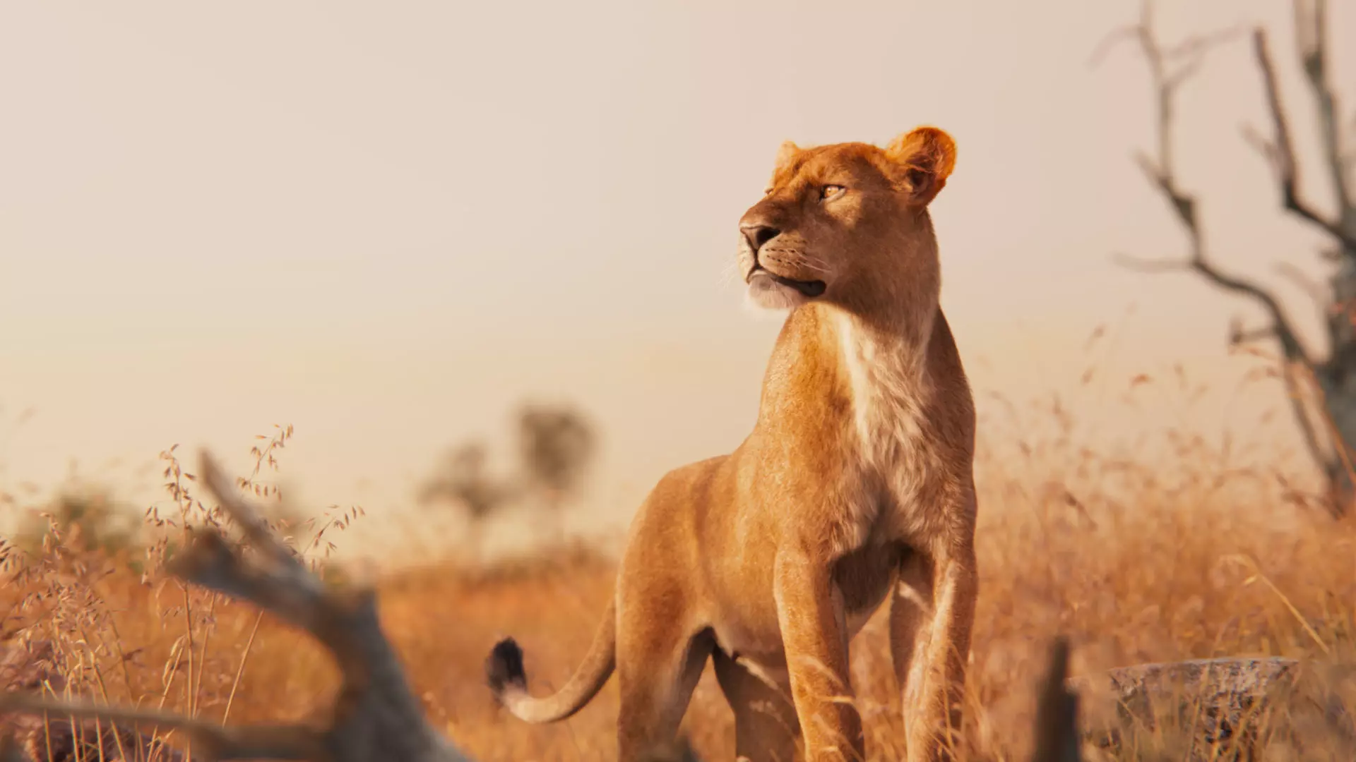 Female Lion Animated VFX Grace   3D model_0