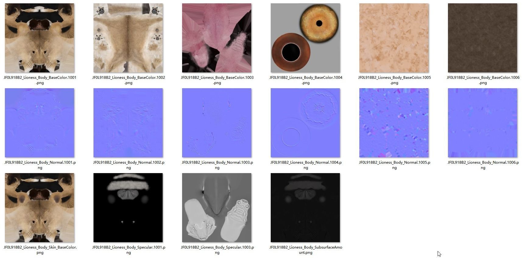 Female Lion Animated VFX Grace   3D model_28