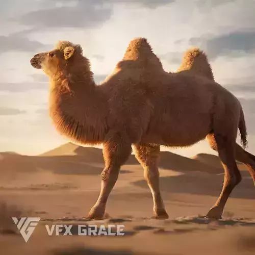 Bactrian Camel Rigged VFX Grace 3D model