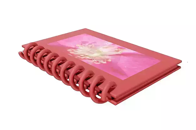 Classic Office Diary Low-poly 3D model