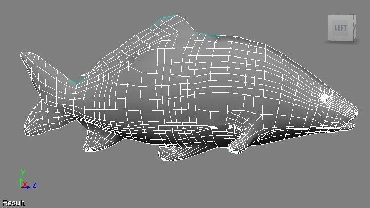 common carp  Low-poly 3D model_16