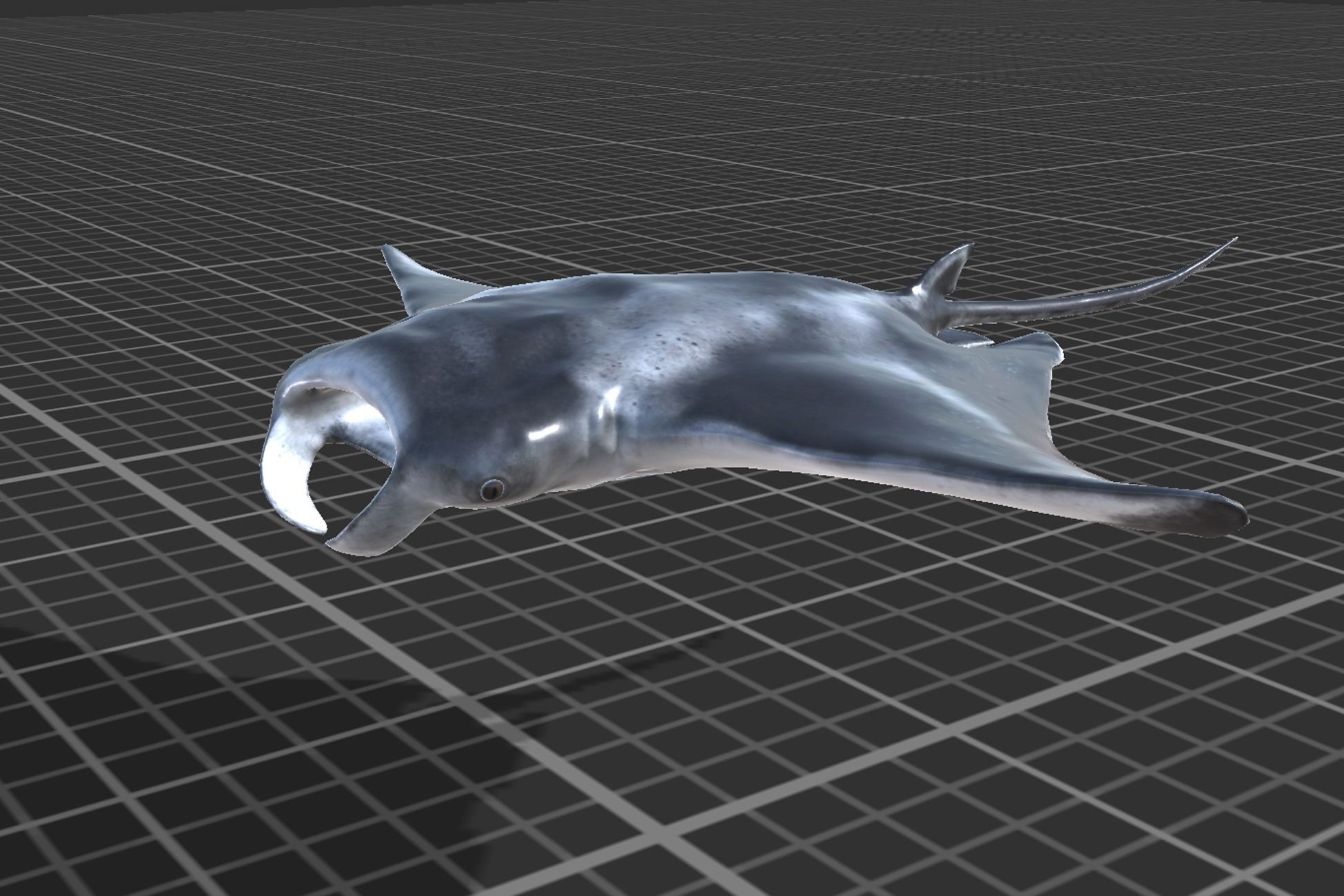 Stingray Pack Low-poly 3D model_11