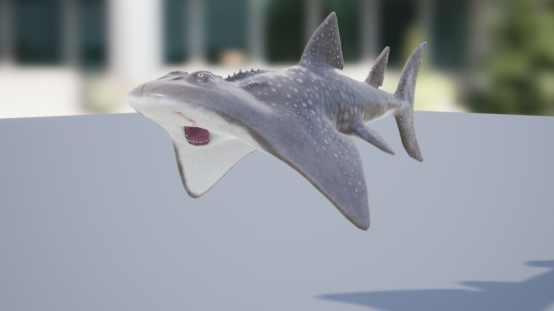 Stingray Pack Low-poly 3D model_9