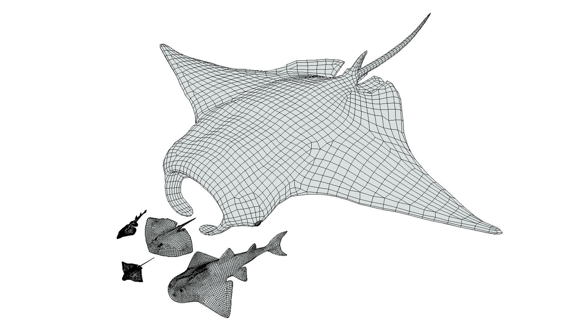 Stingray Pack Low-poly 3D model_6