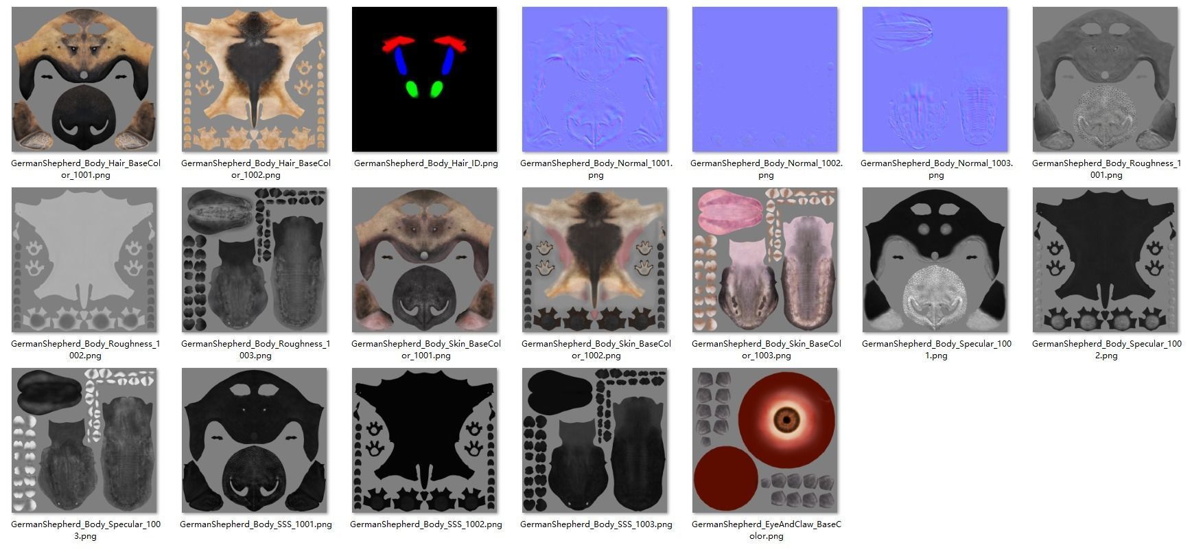 German Shepherd Animated 3D model_15