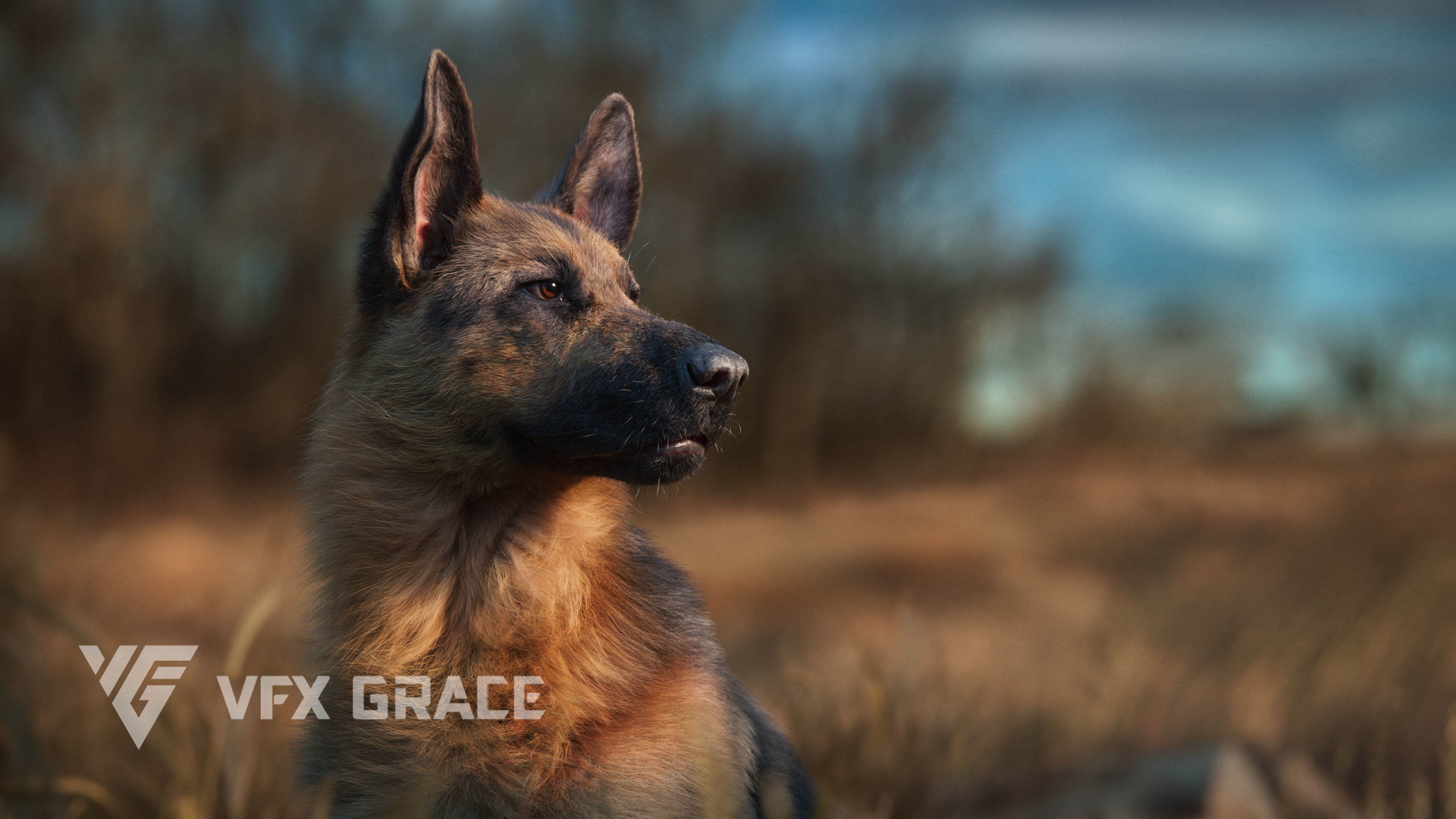 German Shepherd Animated 3D model_5